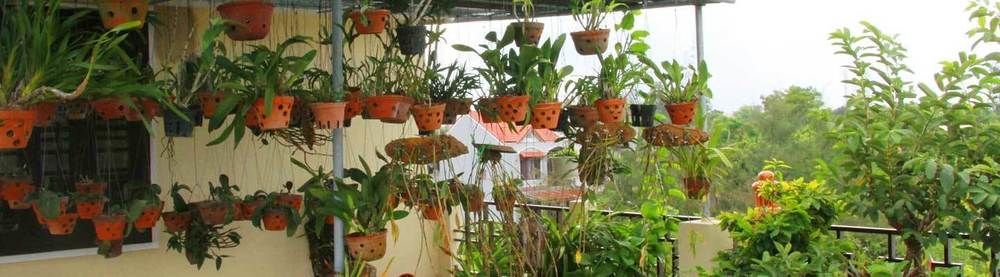 Leaf Homestay Hội An Ngoại thất bức ảnh