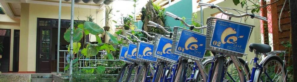 Leaf Homestay Hội An Ngoại thất bức ảnh