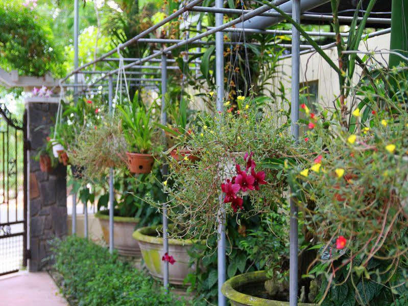 Leaf Homestay Hội An Ngoại thất bức ảnh