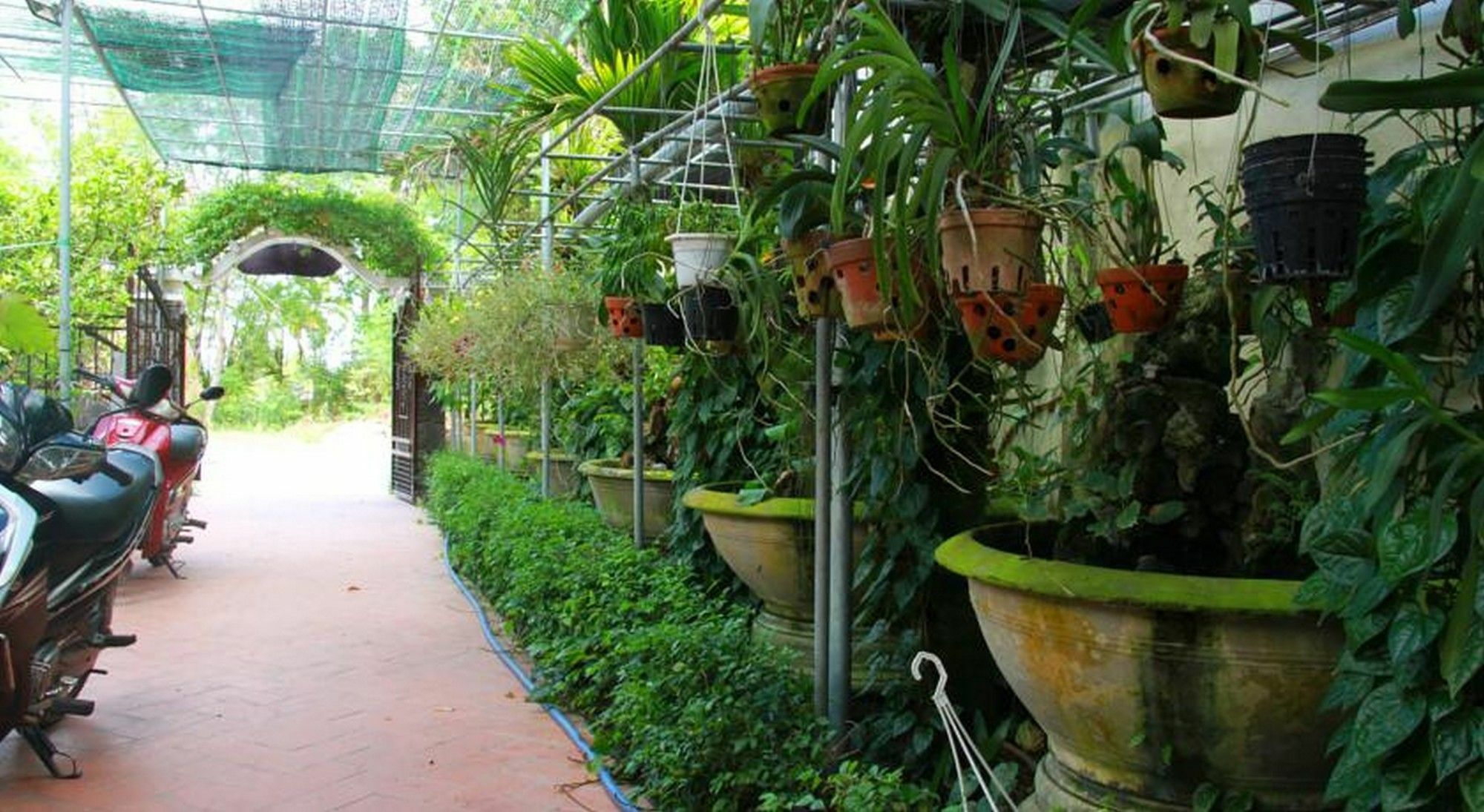Leaf Homestay Hội An Ngoại thất bức ảnh