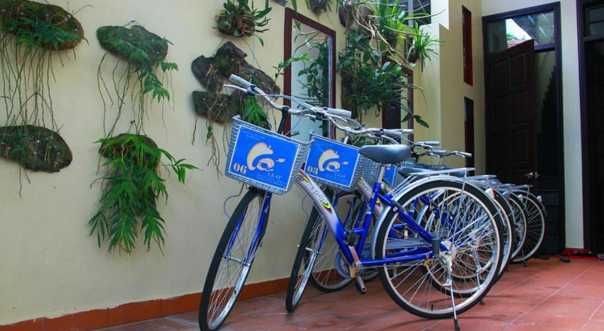 Leaf Homestay Hội An Ngoại thất bức ảnh